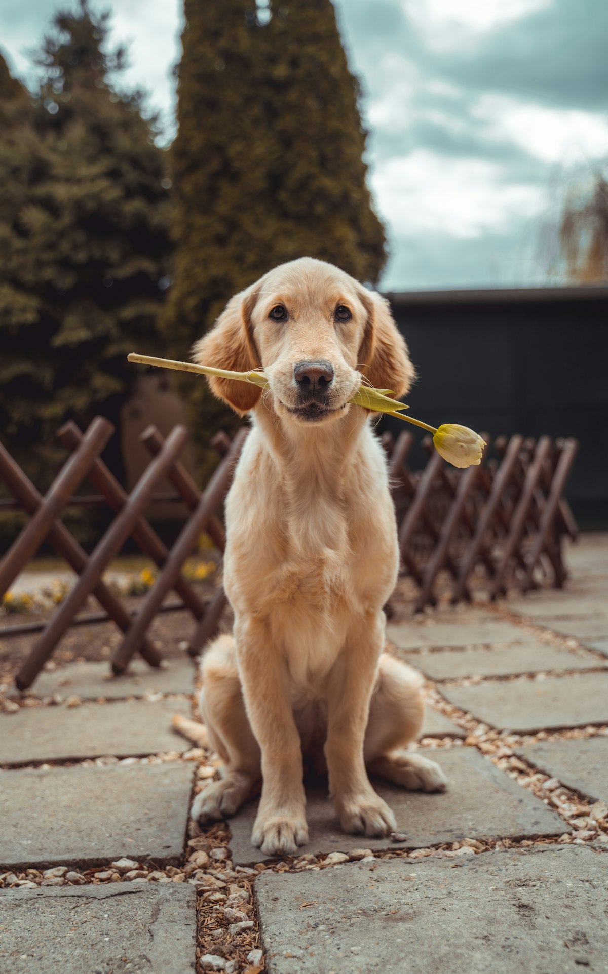 Foto de Bebê resgatado